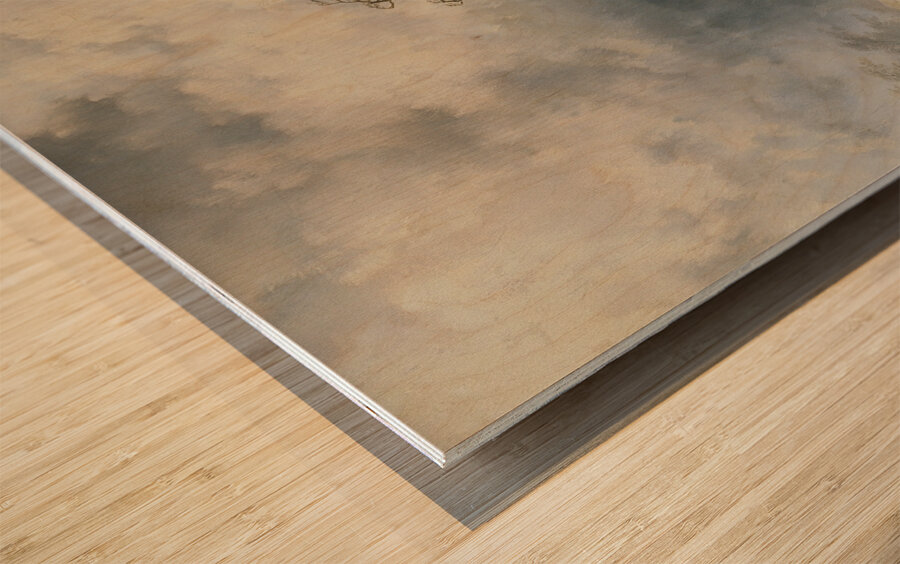 Holländische Winterlandschaft [Schneewehen] [1870] by Remigius Adrianus van Haanen [1812–1894] Wood print