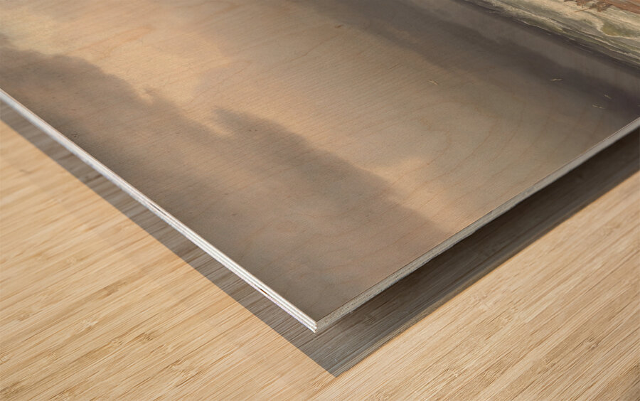 Storm paa Vestkysten af Jylland [1853] by Peter Raadsig [1806–1882] Wood print