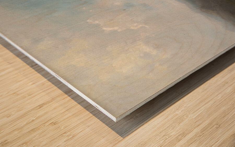 Dirndln auf der Alm by Carl Spitzweg [1808–1880] Wood print