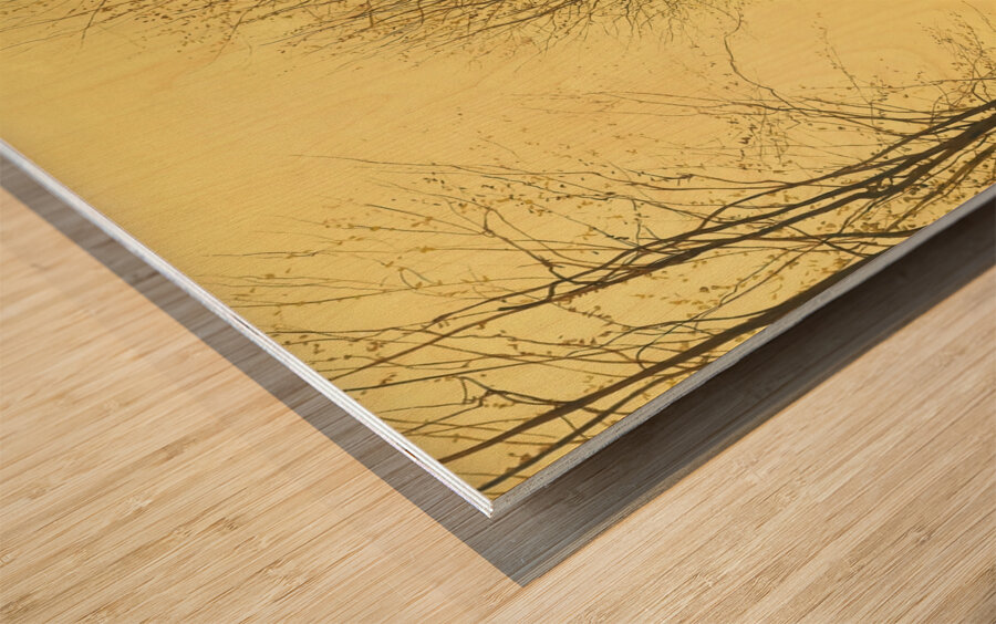 Late Autumn [1886] by John Atkinson Grimshaw [1836–1893] Wood print