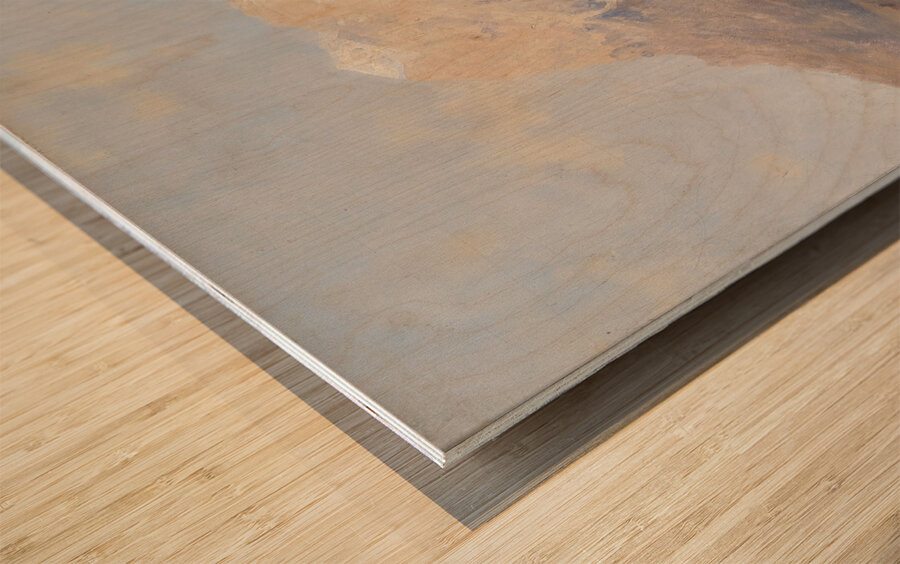 Bei Cortino im Ampezzo Tal by Emil Barbarini [1855–1933] Wood print