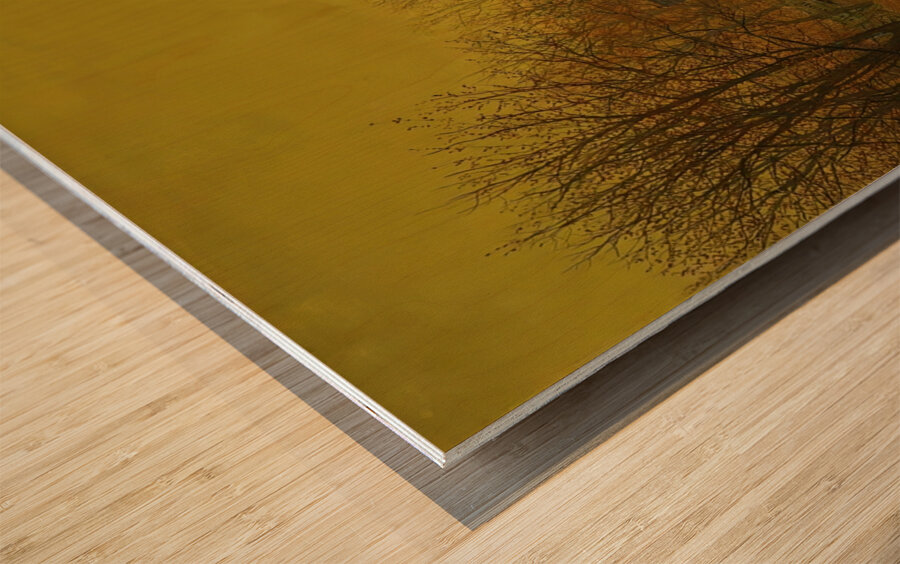 A Moated Yorkshire Home [1879] by John Atkinson Grimshaw [1836–1893] Wood print