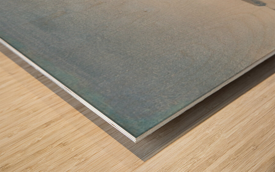 Hook Mountain. Near Nyack. On the Hudson [1866] by Sanford Robinson Gifford [1823–1880] Wood print