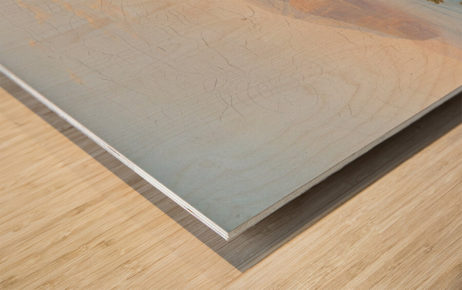 View of Sorrento. With a family outing in the foreground by Carl Wilhelm Götzloff [1799–1866] Wood print