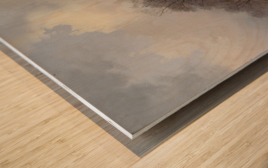 Winterlandschaft mit Pferdeschlitten by Remigius Adrianus van Haanen [1812–1894] Wood print