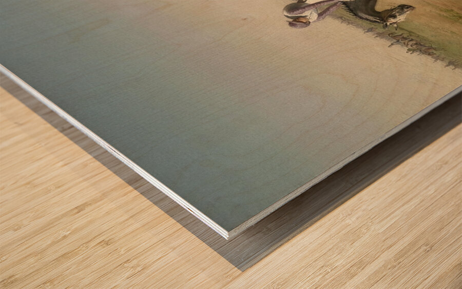 Renntag in der Freudenau by Carl Rudolf Huber [1839–1896] Wood print