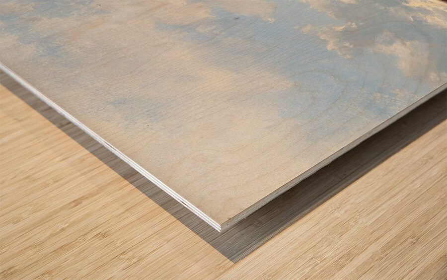 Open Landscape by Remigius Adrianus van Haanen [1812–1894] Wood print