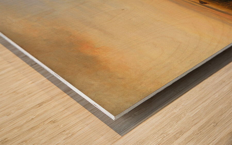 Via Appia [Ca. 1850] by Albert Flamm [1823–1906] Wood print