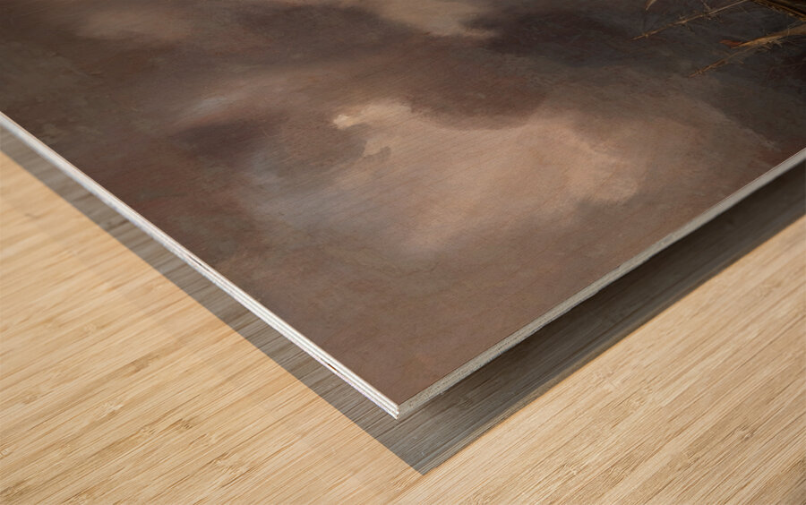 La tempête by Théodore Gudin [1802–1880] Wood print