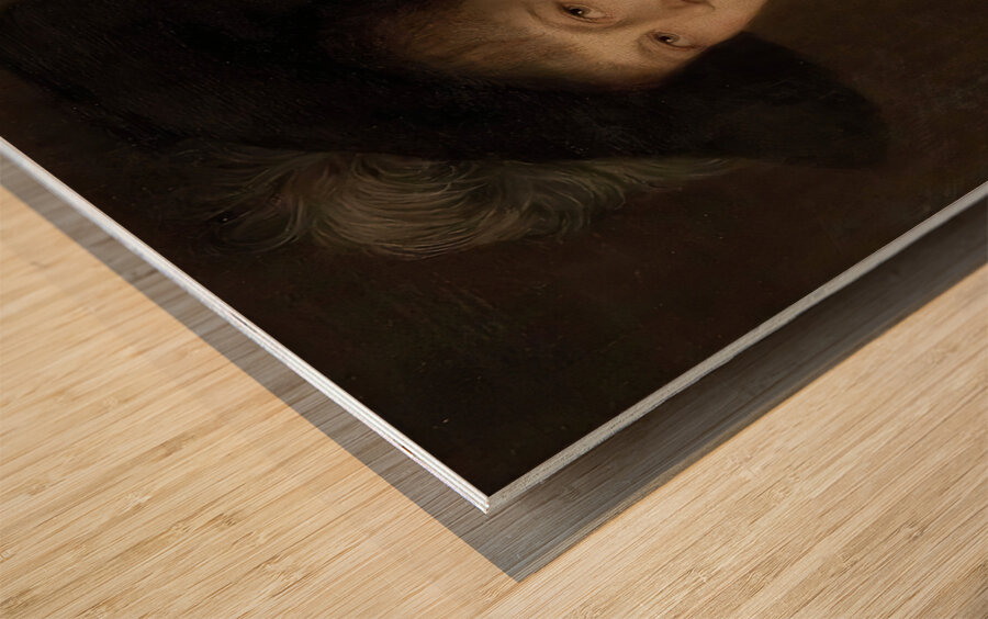 Portrait Bertha Linda [1883] by Gustav Gaul [1836–1888] Wood print