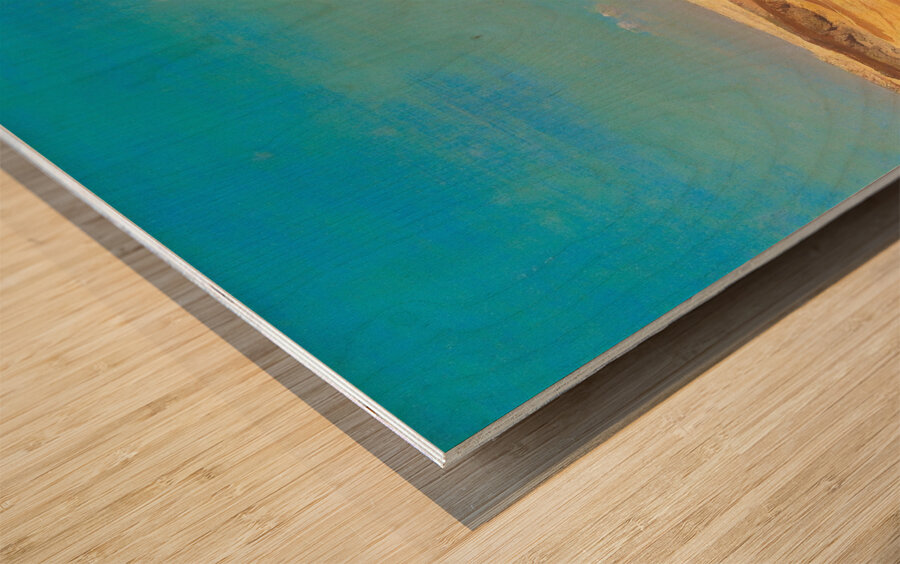 The Libyan Desert by Carl Hasch [1834–1897] Wood print