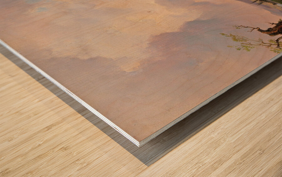 Sirmione by Anton Hansch [1813–1876] Wood print