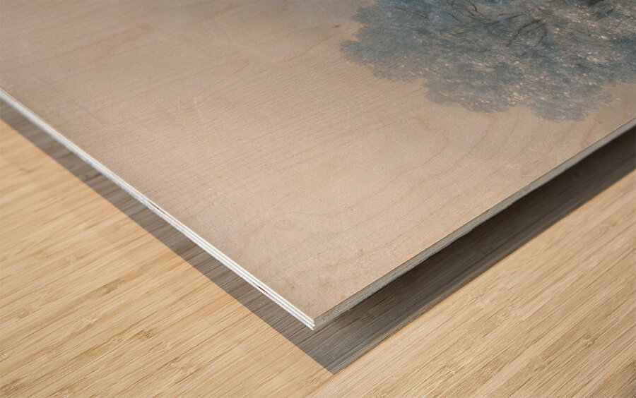 Winter Landscape [1876] by Ivan Konstantinovich Aivazovsky [1817–1900] Wood print