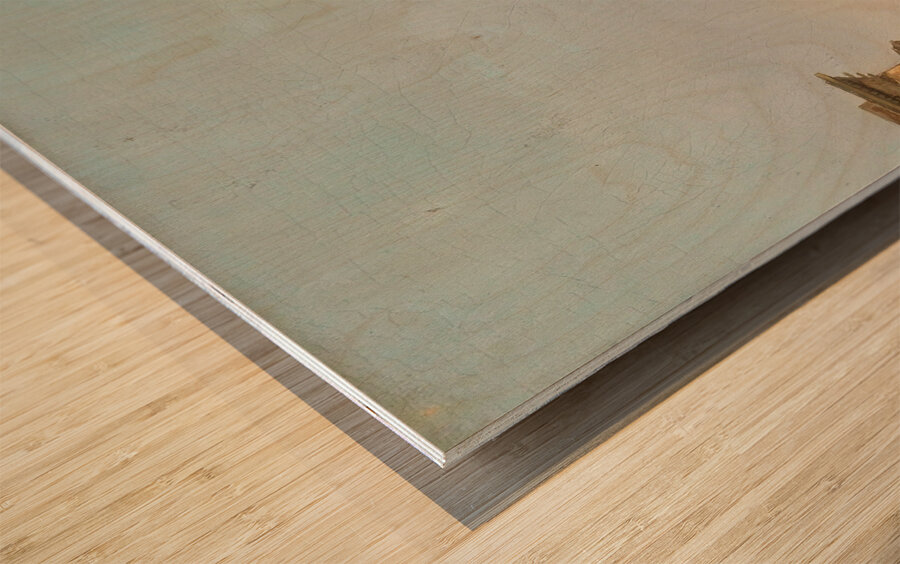 Partie Aus Istanbul [1899] by Karl Kaufmann [1843–1905] Wood print