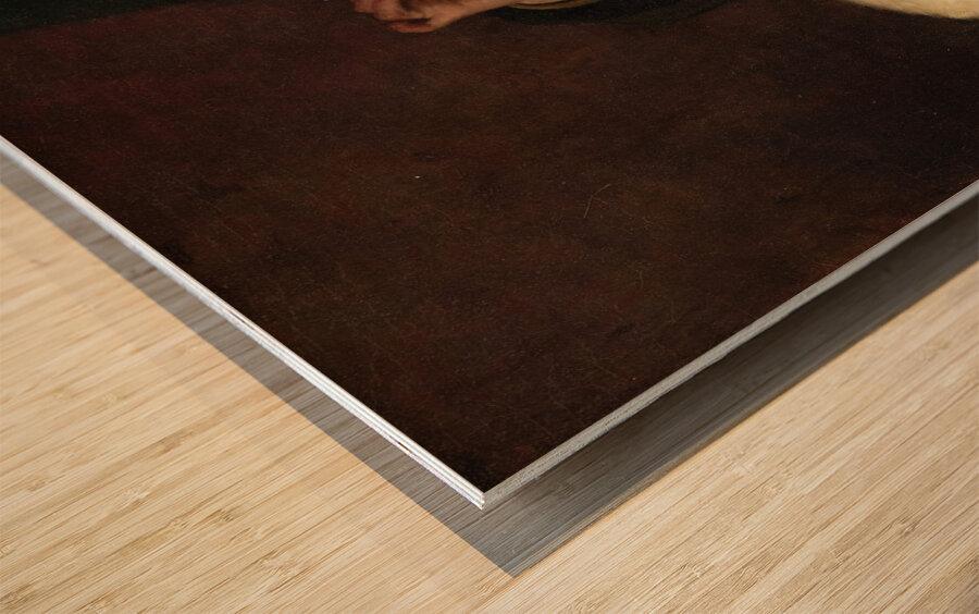 Portrait of a Girl with Cat by Antoine Jean Bail [1830–1918] Wood print