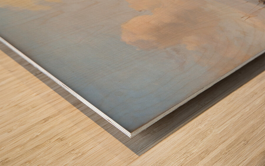 Strandparti i nærheden af Tårbæk [1824–1886] by Anders Christian Lunde [1809–1886] Wood print