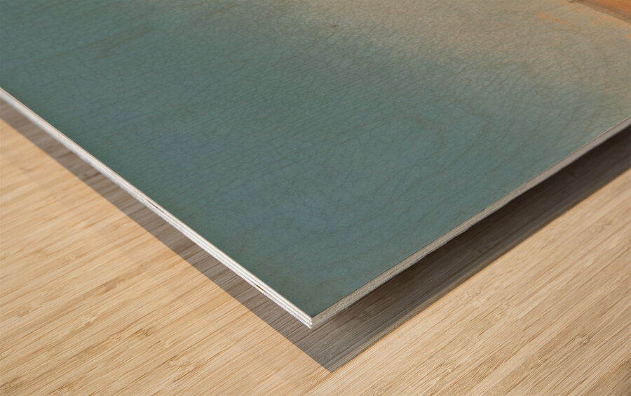 A Family Crossing The Desert by Charles Théodore Frère [1814–1888] Wood print