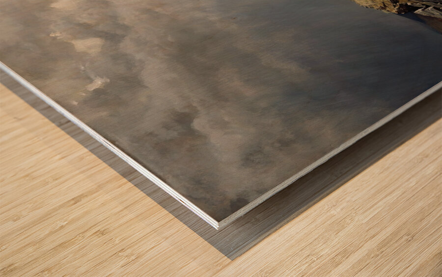 Horses in the Mountains [1889] by Peter Nicolai Arbo [1831–1892] Wood print