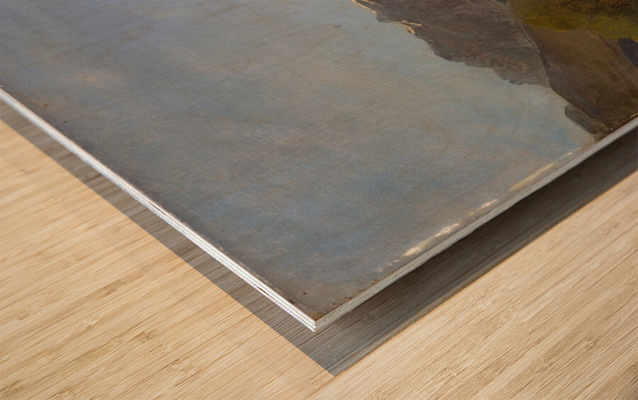 Mountain Landscape of Glarus with ‘Rüchigrat’ and ‘Bös Fulen’ by Johann Rudolf Koller [1828–1905] Wood print