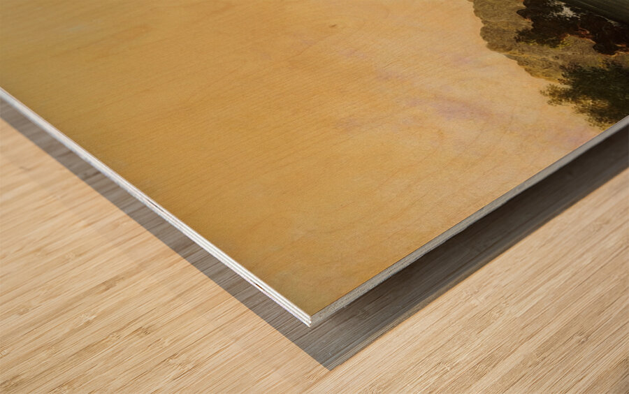 Rio de Janeiro Bay [1864] by Martin Johnson Heade [1819–1904] Wood print