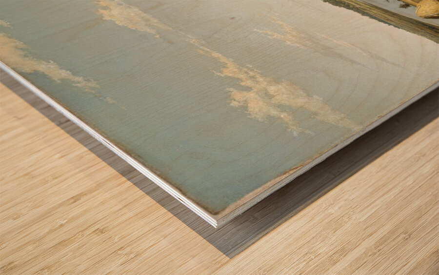 Rhode Island Shore [1858] by Martin Johnson Heade [1819–1904] Wood print