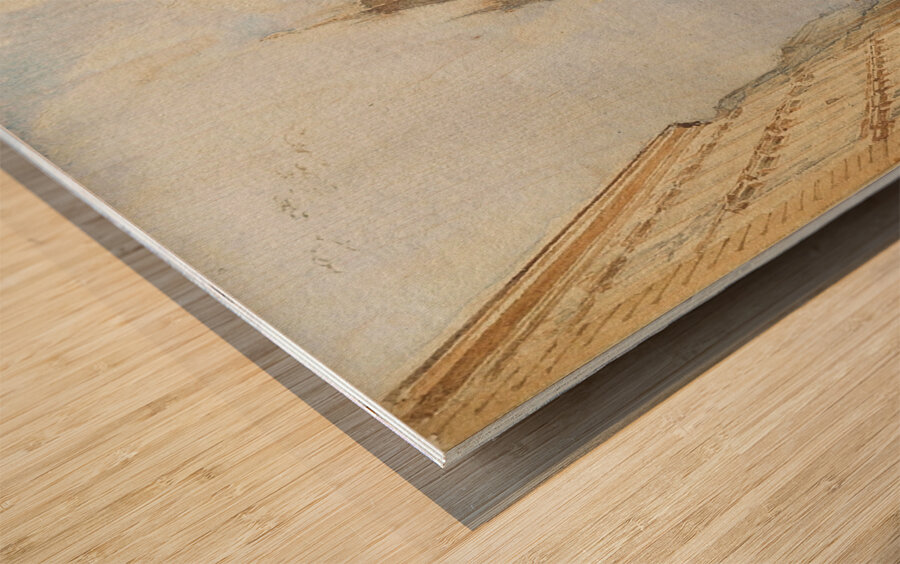 Stephansplatz [1838] by Rudolf von Alt [1812–1905] Wood print