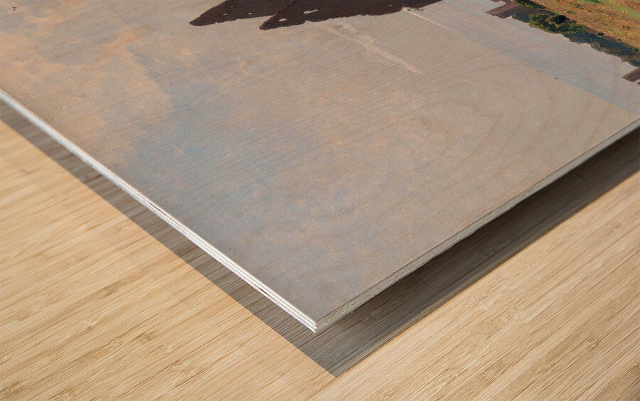 Sommertag an der Küste von Gotland by Otto Strützel [1855–1930] Wood print