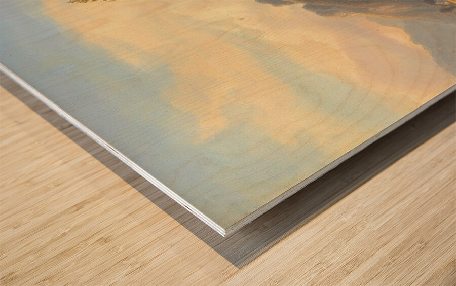 Partie Bey Frohnwies Am Wege Von Lofer Nach Salfelden Im Pinzgau by Anton Schiffer [1811–1876] Wood print