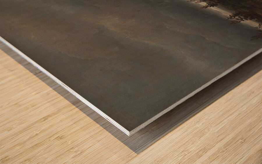 Fields near Dresden with a white Horse [1819] by Johan Christian Dahl [1788–1857] Wood print