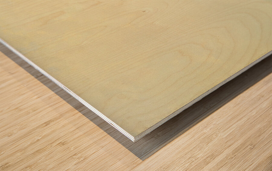 The Coast of Labrador [1866] by William Bradford [1823–1892] Wood print