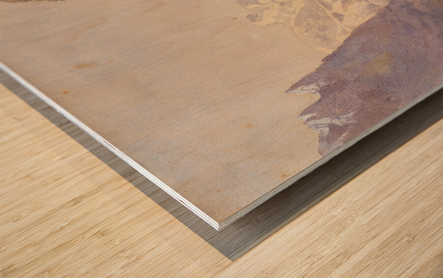 Lauterbrunnen [Schweiz] [Ca. 1880–90] by Edward Theodore Compton [1849–1921] Wood print