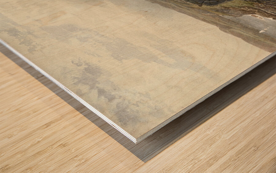 Graycliff. The Artist’s Home. Newport. Rhode Island [1882] by William Trost Richards [1833–1905] Wood print