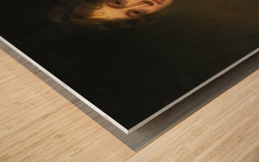 Portrait Of Anne Blair Maconochie Welwood Of Garvock. Lady Meadowbank [1784–1866] by Sir Henry Raeburn [1756–1823] Wood print