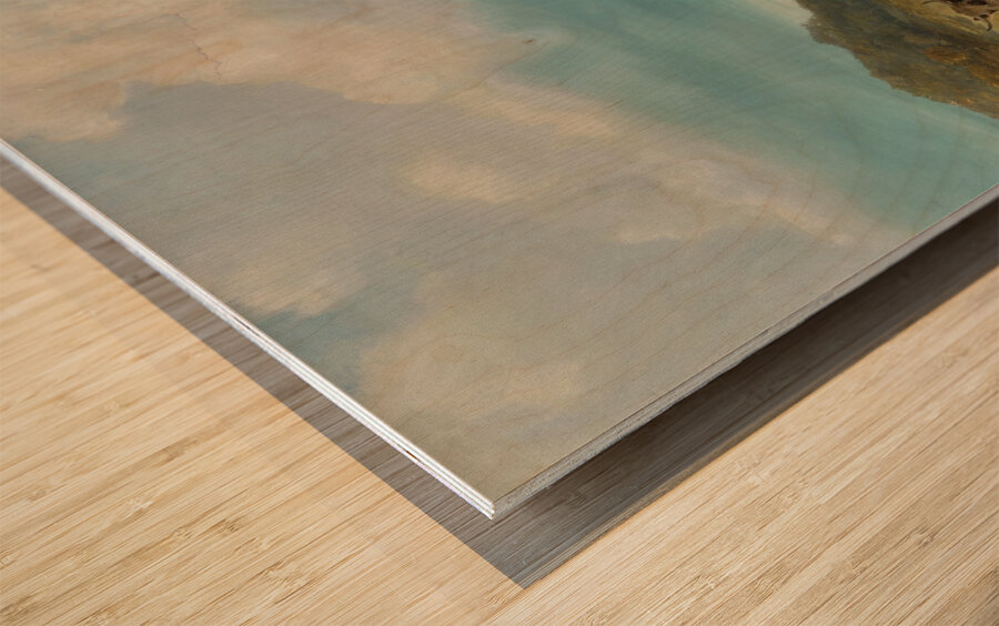 Cattle and Sheep at a Watering Place by Thomas Sidney Cooper [1803–1902] Wood print