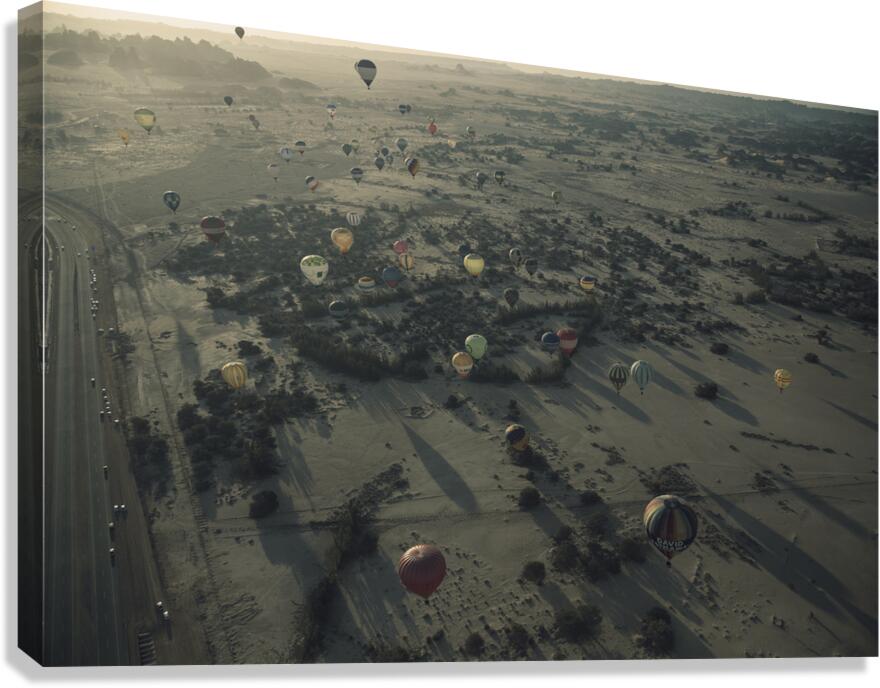 Hot Air Balloon Canvas Print