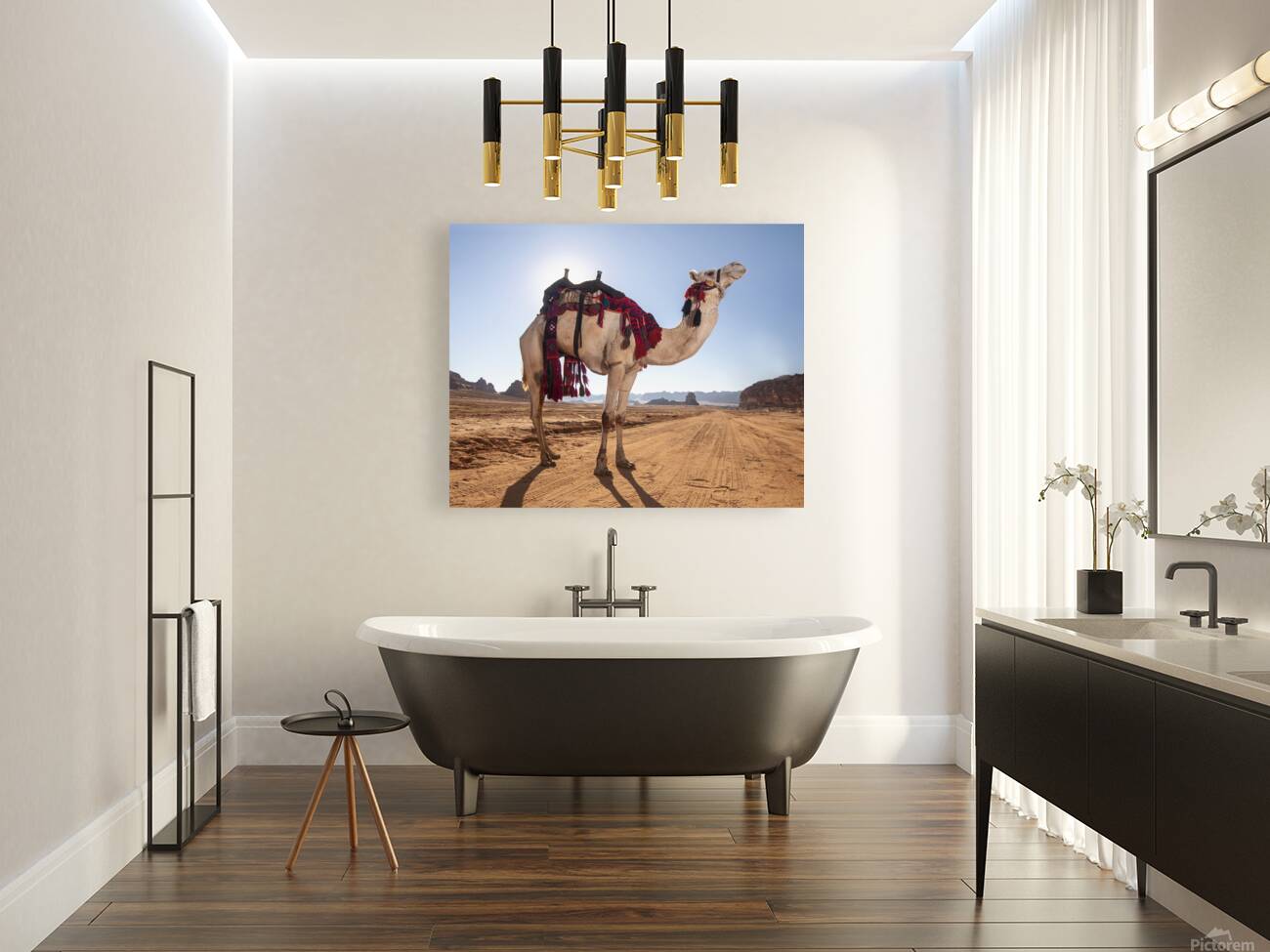 The camel Reproduction