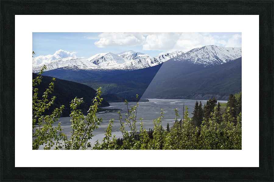 DSCN0493 Picture Frame print
