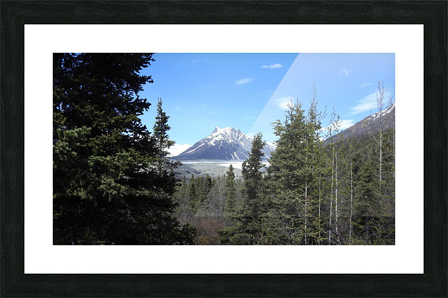 DSCN0621 Picture Frame print
