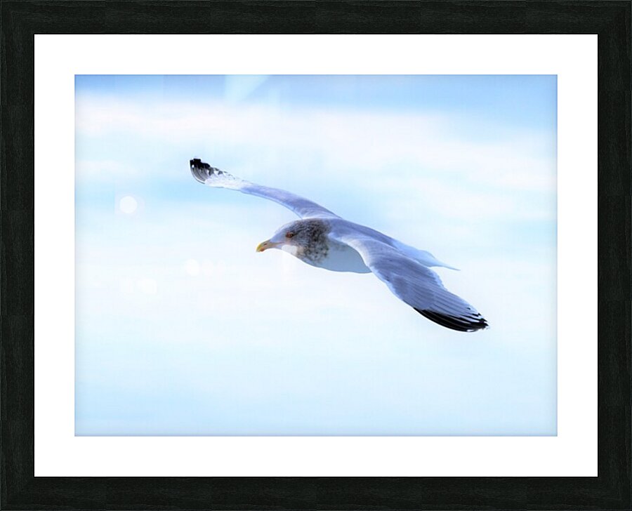 PC308293 2 Picture Frame print
