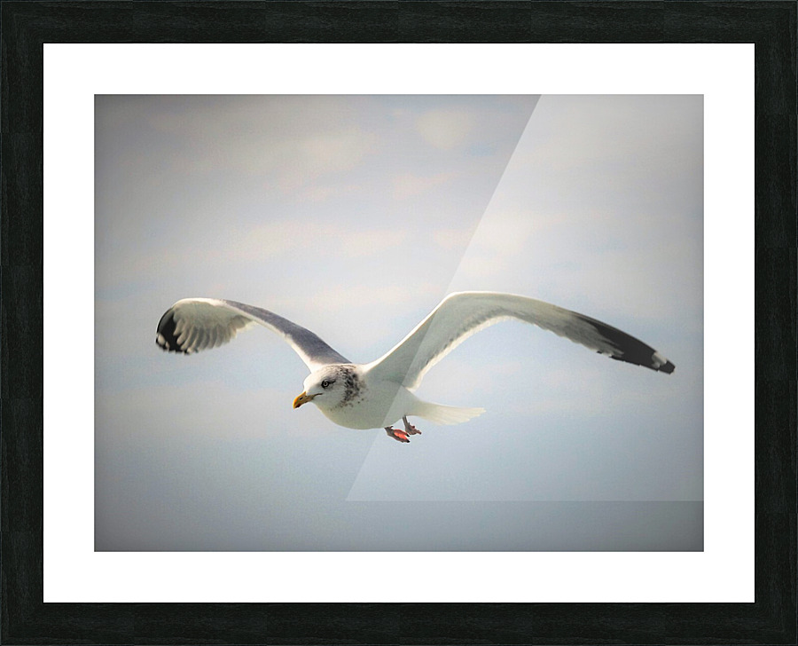 PC308297 2 Picture Frame print