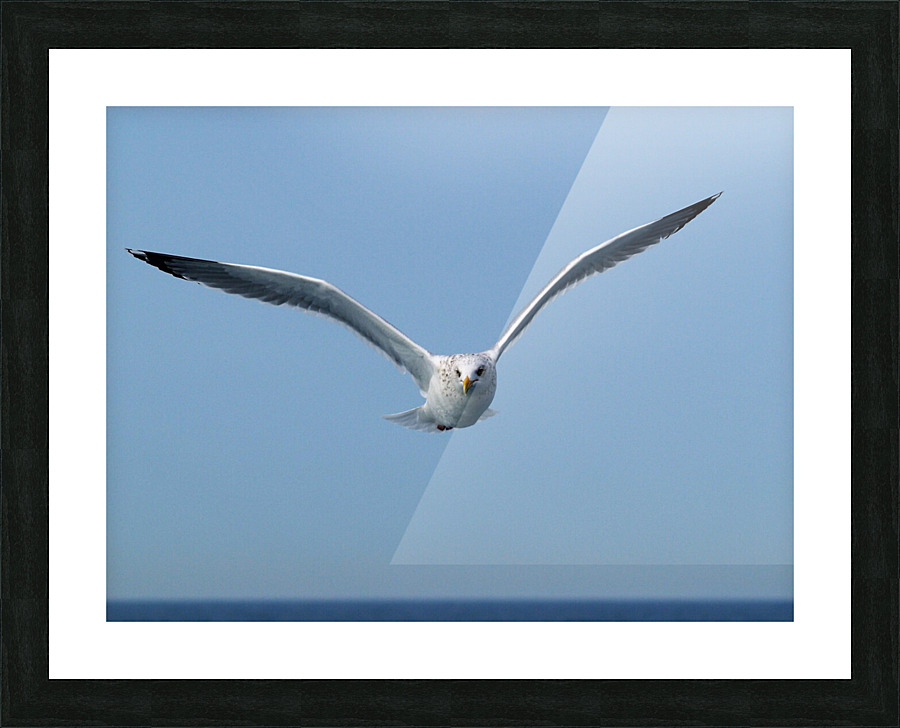 PC308282 2 Picture Frame print