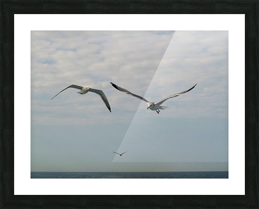 PC308286 2 Picture Frame print