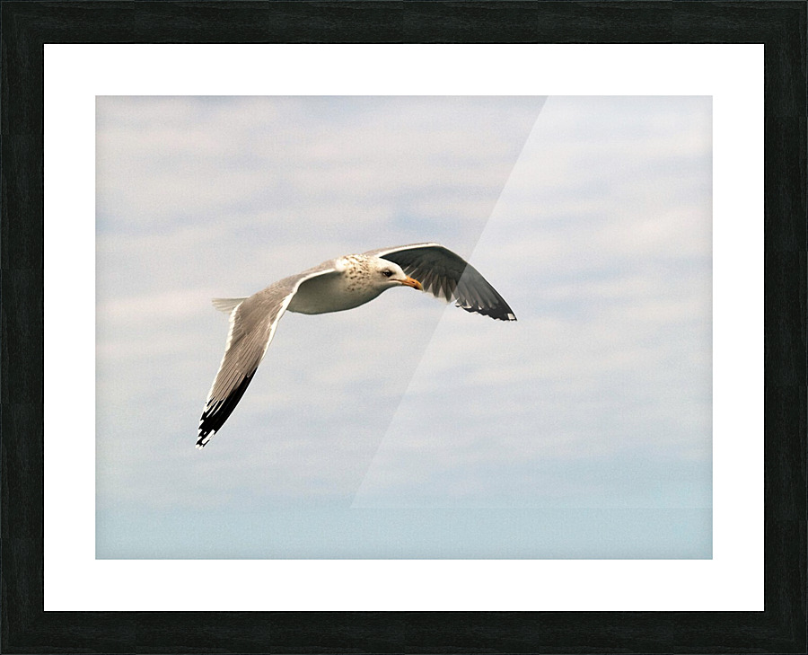 PC308277 2 Picture Frame print