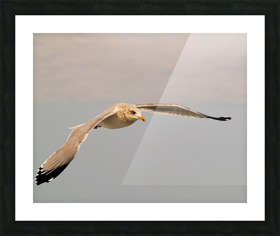PC308289 2 Picture Frame print