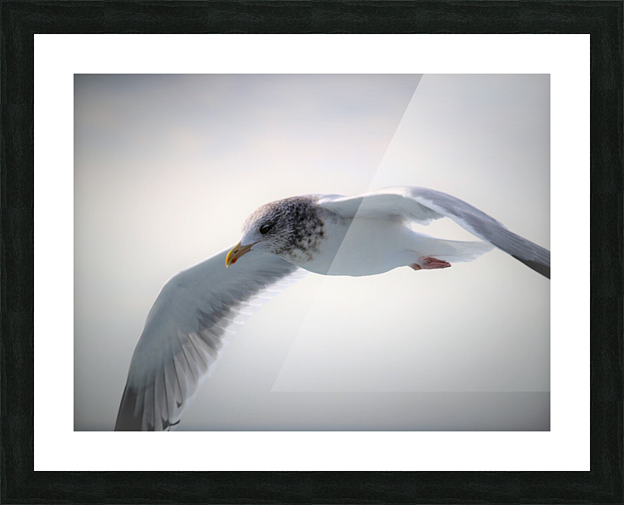 PC308292 2 Picture Frame print