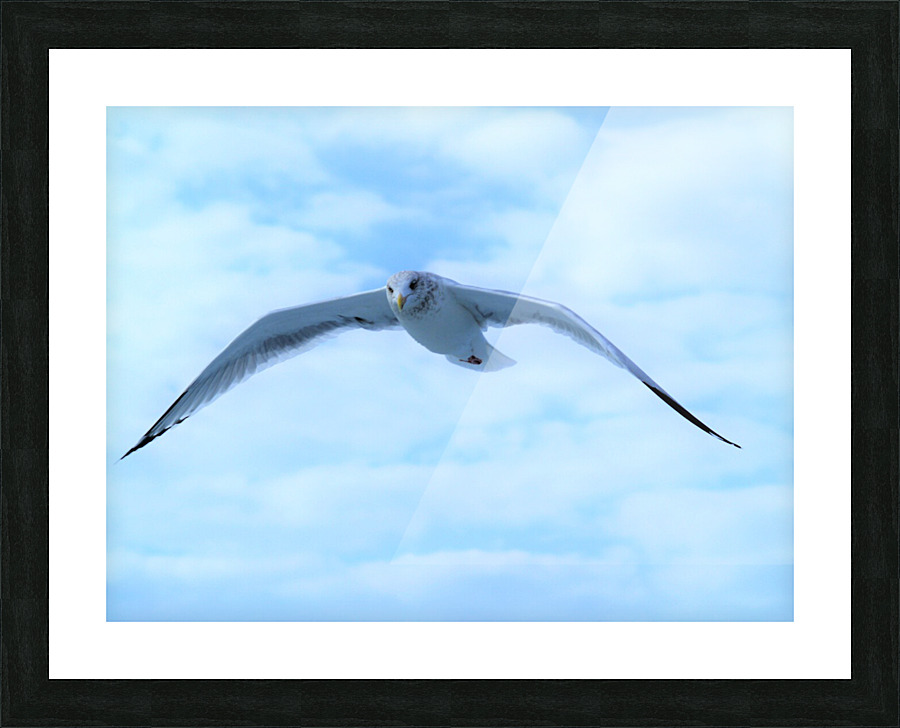 PC308299 2 Picture Frame print