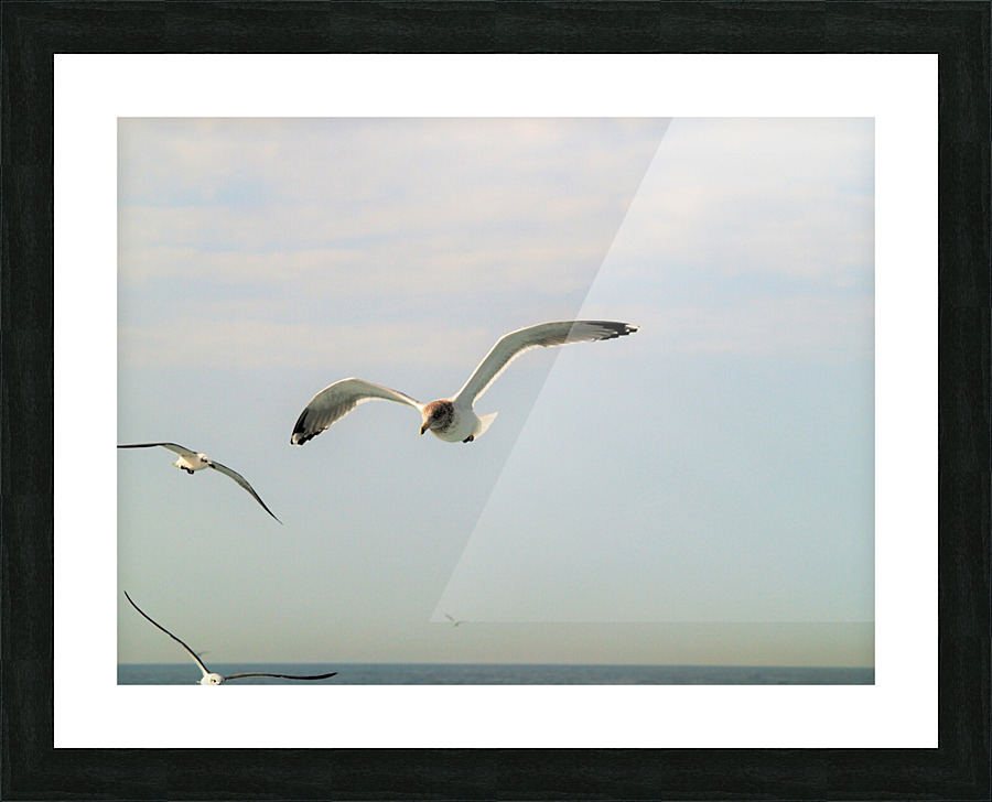 PC308296 2 Picture Frame print