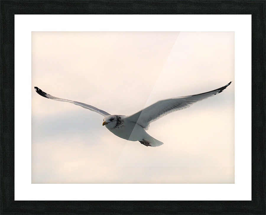 PC308309 2 Picture Frame print
