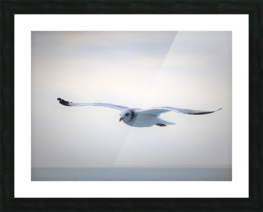 PC308308 2 Picture Frame print