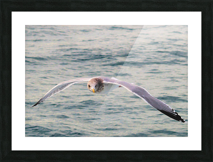 PC308315 2 Picture Frame print